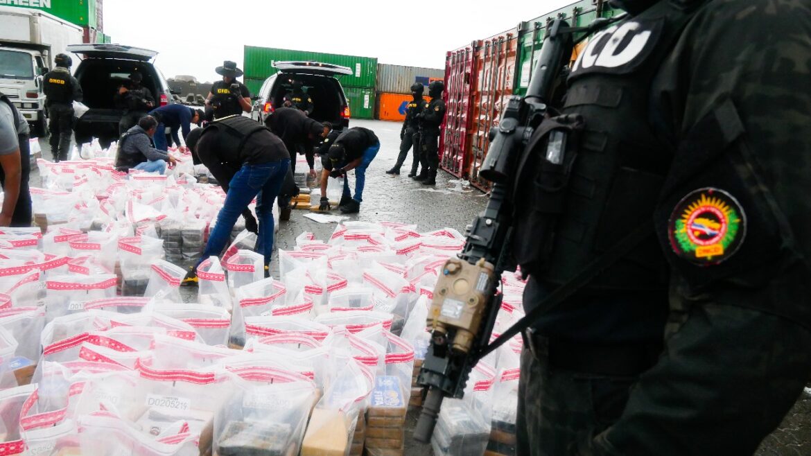DNCD incauta en 2024 más de 44 toneladas de drogas